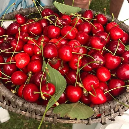 Vendégház Sobe Ivancica Rupa