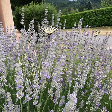 Sobe Ivancica 3* Rupa