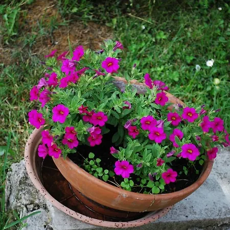 Vendégház Sobe Ivancica Rupa