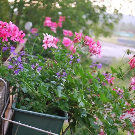 Vendégház Sobe Ivancica Rupa