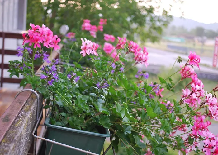 Gasthuis Sobe Ivancica Rupa