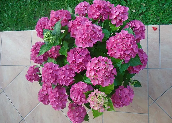 Sobe Ivancica Gasthuis Rupa